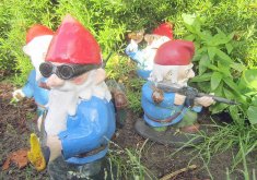 where to buy garden gnomes