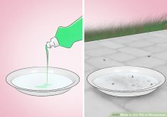 how to get rid of mosquitoes in home