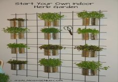how to grow your own herb garden indoors